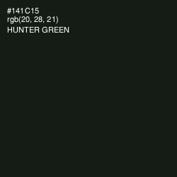 #141C15 - Hunter Green Color Image